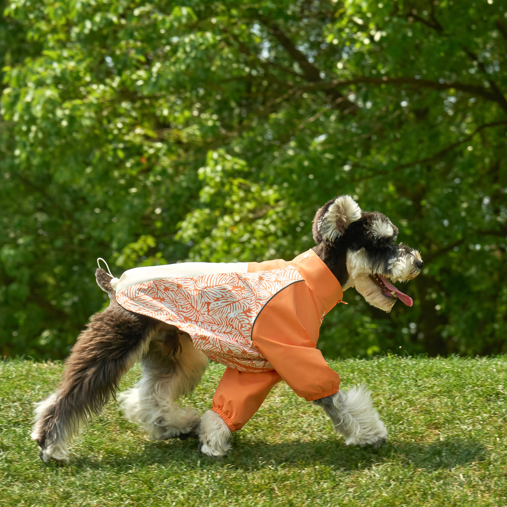 Originally A Dog Outdoor Jacket Windbreaker