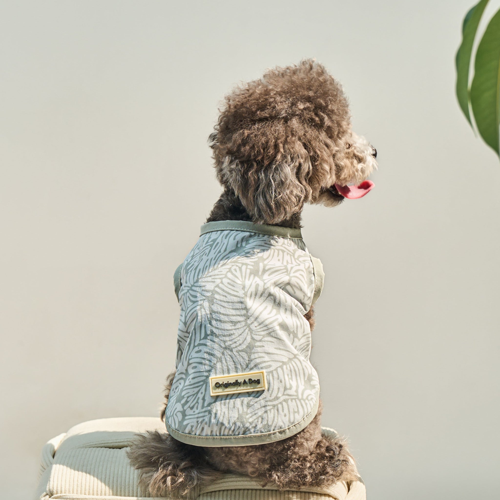 DOG SUMMER COOLING UPF50+ TANK TOP – Originally A Dog