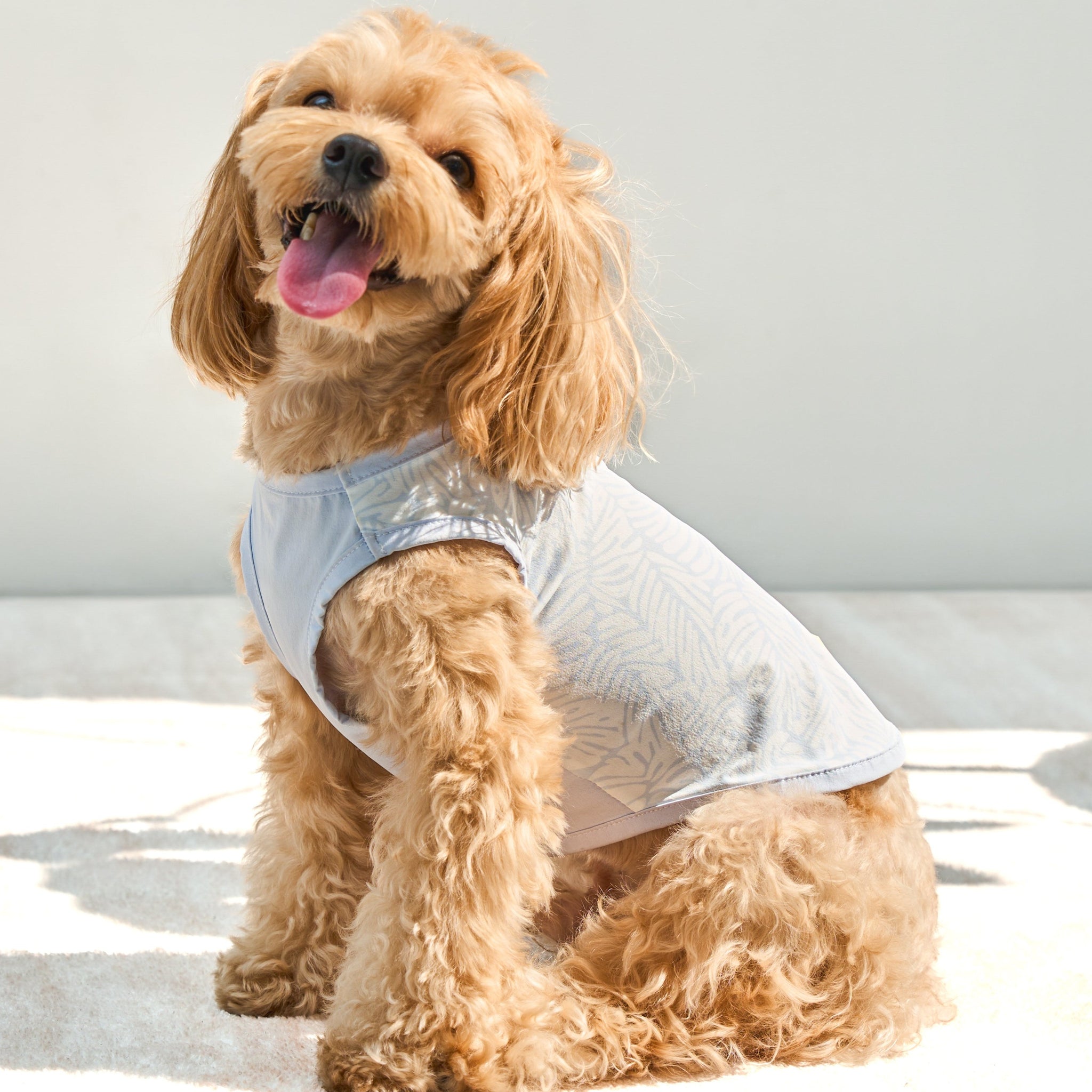 DOG SUMMER COOLING UPF50+ TANK TOP – Originally A Dog