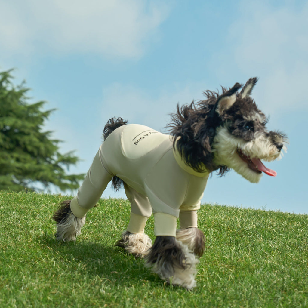 Originally A Dog All Protective Playsuit