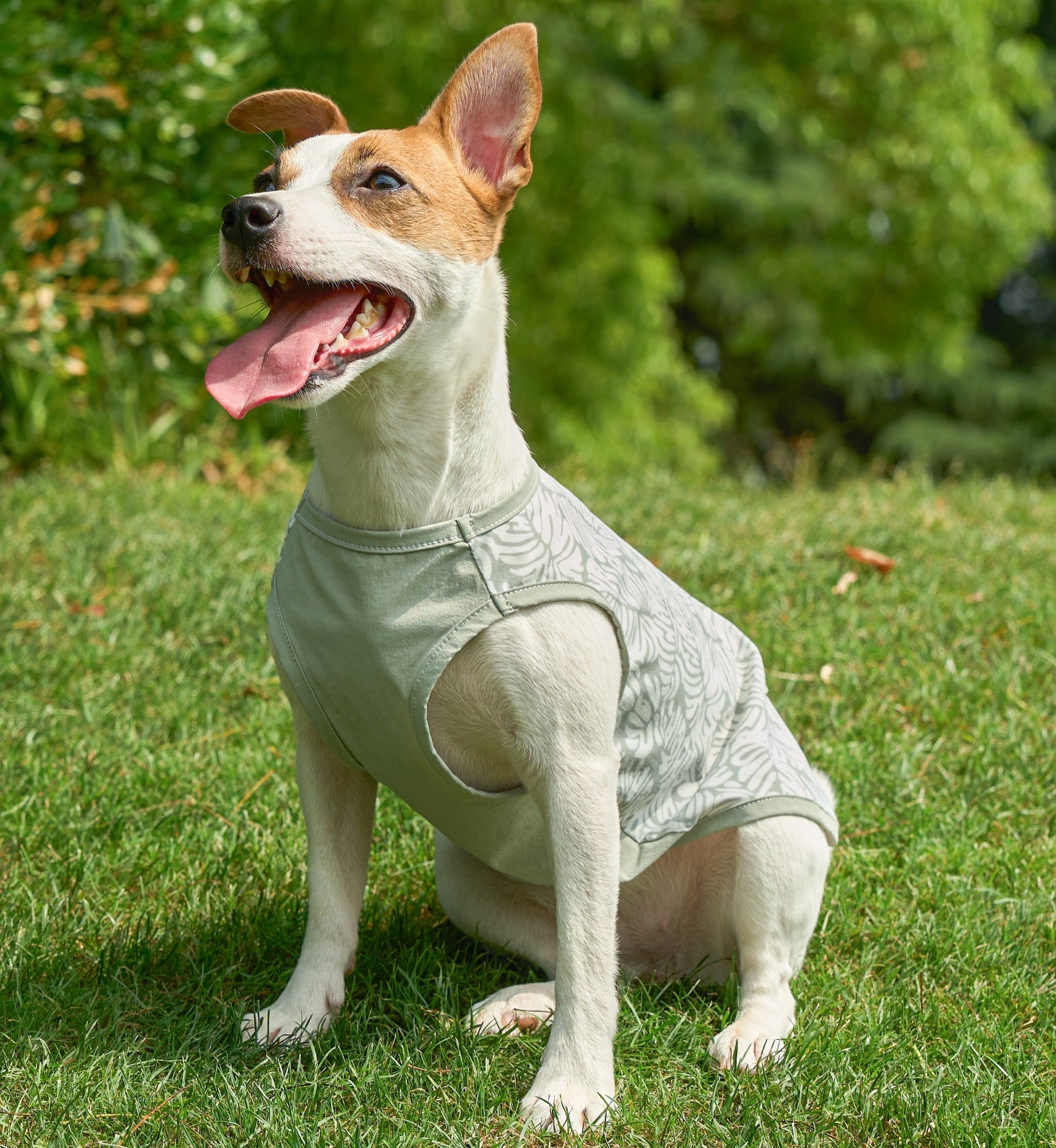 DOG SUMMER COOLING UPF50+ TANK TOP – Originally A Dog
