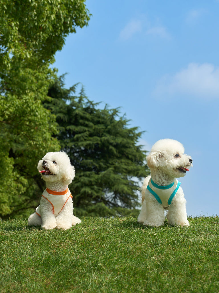 Originally A Dog Sleeveless Top